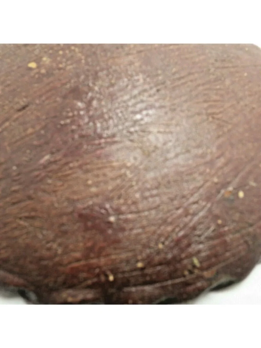 Handmade Ceramic Bowl Décor Brown textured bark like